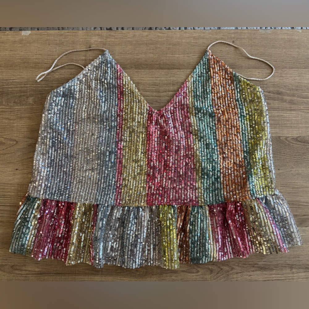 Zara Multicolor Sequin Crop Top